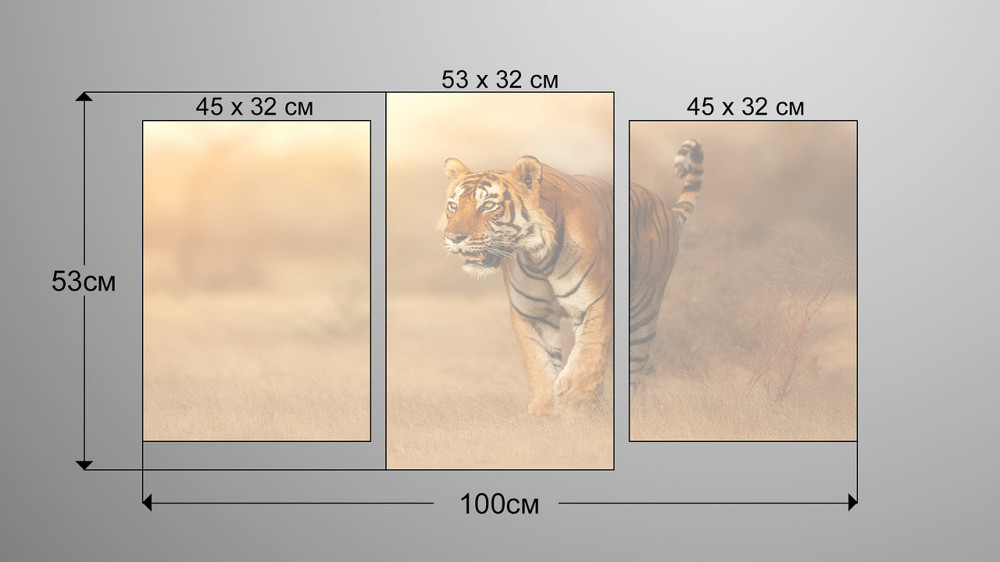 Модульная картина Тигр Art-183_3 Киев - изображение 3