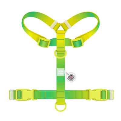Шлей для собак WAUDOG Nylon Recycled анатомическая H-образная с QR-паспортом, пластиковый фастекс, S салатовая (47515) Винница