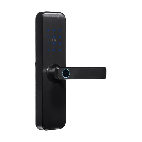 Замок біометричний автономний Trinix TRL-7703WF Black L/R з Bluetooth, зчитувачем відбитків пальців і карт Mifare (65-00082) Киев