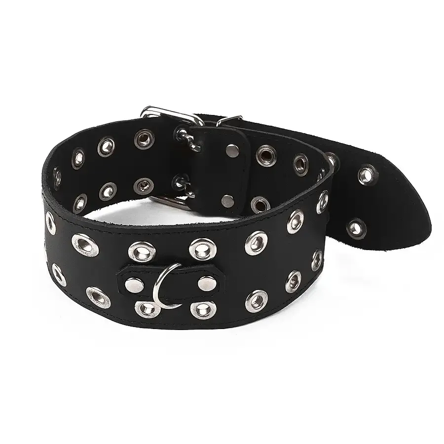 Нашийник Art of Sex - Tessa, натуральна шкіра, колір чорний Львів - фото 4