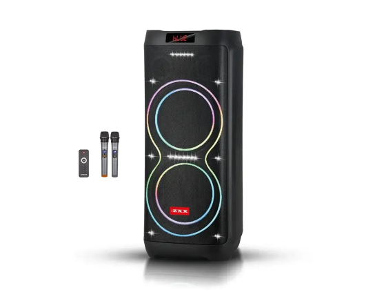 Портативна акустична колонка ZXX-5560 100Вт, 2×10" динаміка, TWS/FM/USB/TF/BT/LED, 2 мікрофони, пуль Київ