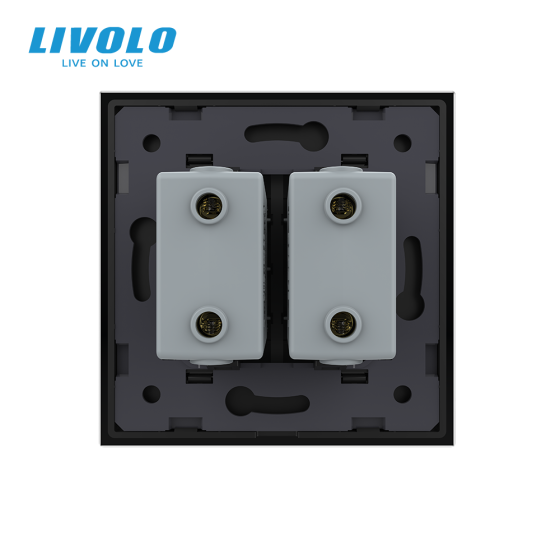 Розетка подвійна USB з блоком живлення LIVOLO чорна матова скло Коломия