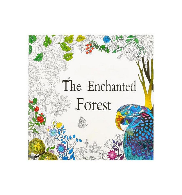 Розмальовка антистрес "The Enchanted Forest" COLOR-IT GDM-015, 12 аркушів Вінниця - фото 1