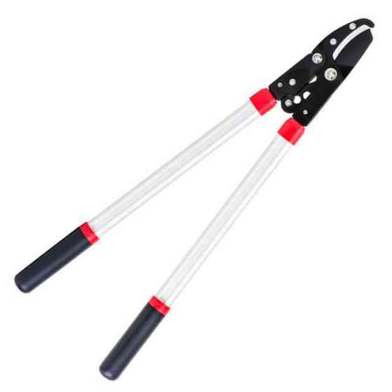 Сучкоріз садовий для обрізання гілок, 730 мм INTERTOOL FT-1112 Киев