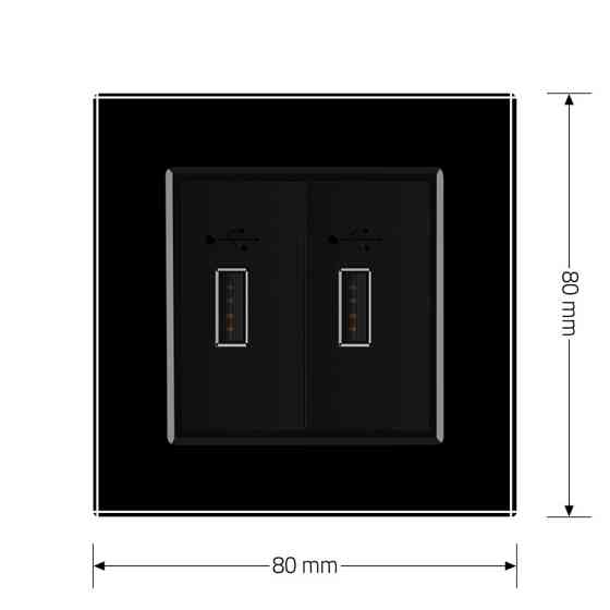 Розетка подвійна USB з блоком живлення Livolo чорний скло (VL-C792U-12) Коломыя