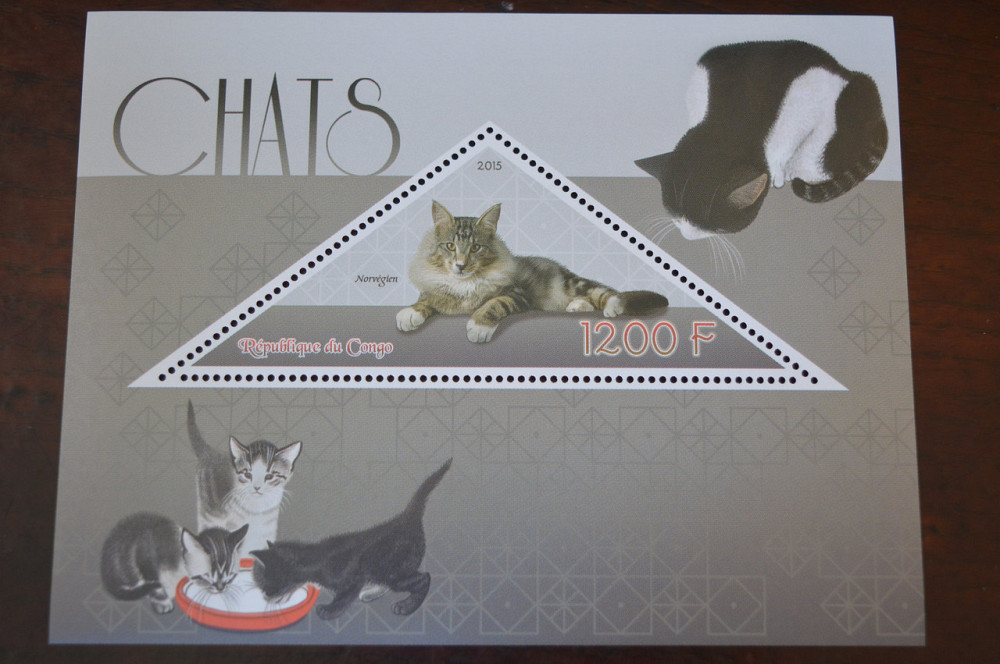 Конго. Фауна. Личности. Блок. 2014 р. (А-34) Полтава - фото 1