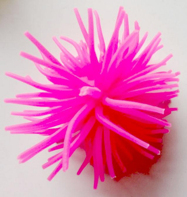 Яскравий декор в акваріум - Морський їжак. Київ - фото 1