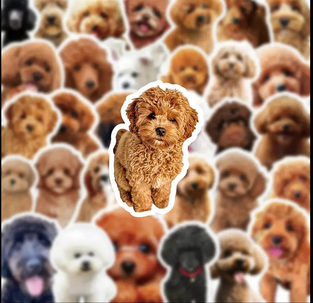 Набір стікерів з милими песиками – 50 штук Київ - фото 2