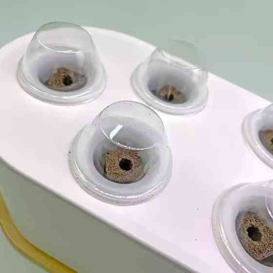 Гидропонная система Smart с LED подсветкой для домашнего выращивания сада,мощность 24 Вт посадочных мест 10 Каменец-Подольский