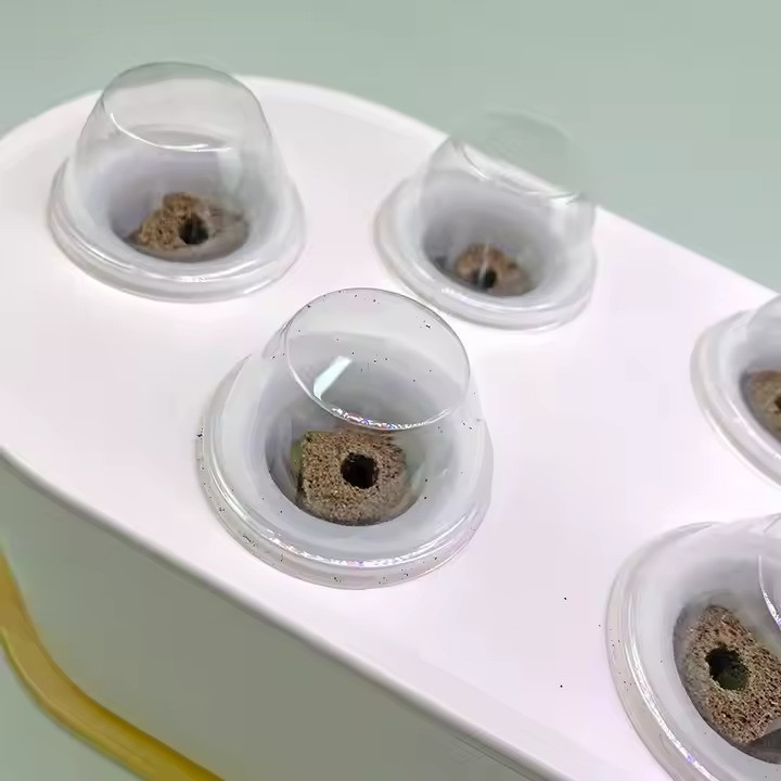 Гідропонна система Smart з LED підсвічуванням для домашнього вирощування саду, потужність 24 Вт посадочних місць 10 Кам'янець-Подільський - фото 6