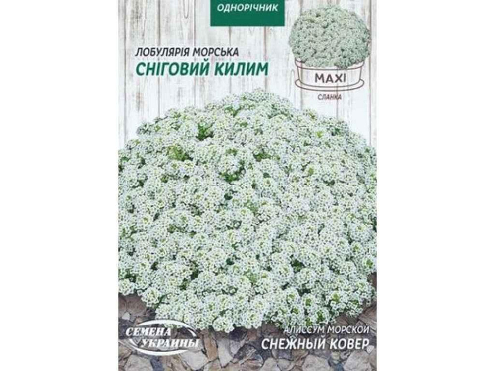 Максі Алиссум морський СНЕЖНЫЙ КОВЕР 5г (10 пачок) ТМ СЕМЕНА УКРАИНЫ   Solmir Київ - фото 1