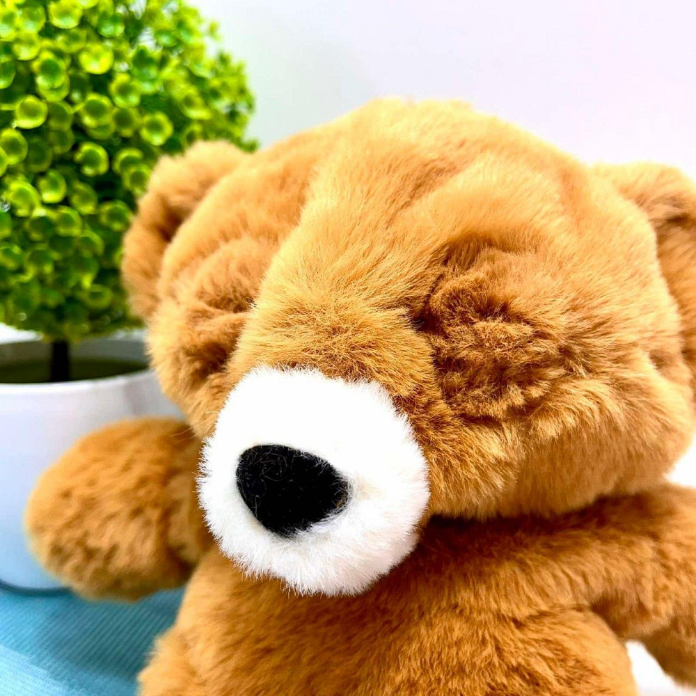 Ведмедик інтерактивний м'який пляшечка в комплекті моргає сенсорний та магнітний датчик звук 24см Коричневий (933-216 E) Чернигов - изображение 5