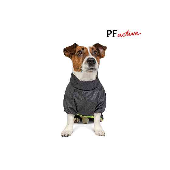 Комбинезон Pet Fashion Rain для собак серый XS Киев