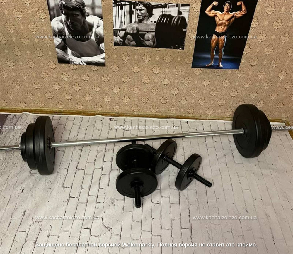 Штанга набірна + гантелі на 52 кг Гантелі, гирі, штанги та диски ударостійкий пластик Київ - фото 1