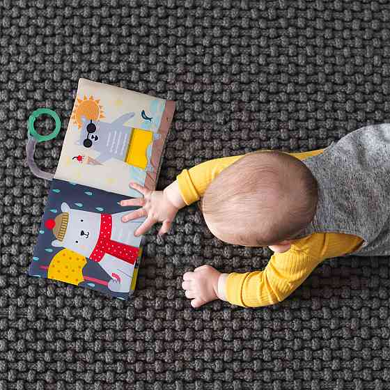 Розвиваюча книжка для візочка - Що вдягне ведмедик Пол Дніпро