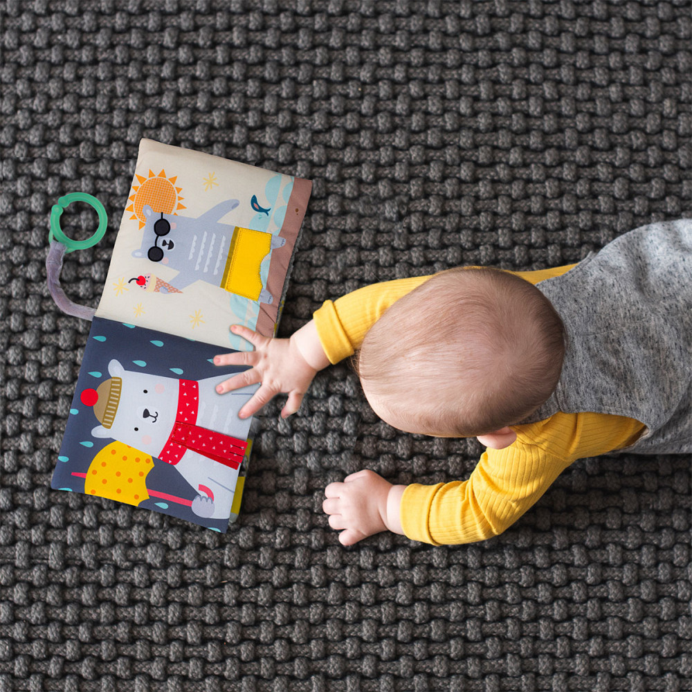 Розвиваюча книжка для візочка - Що вдягне ведмедик Пол Дніпро - фото 2