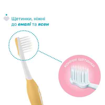 Дитяча зубна щітка Chicco 6-36 міс., 2 шт. бузково/жовта (8058664174706) (12082.00) Вінниця