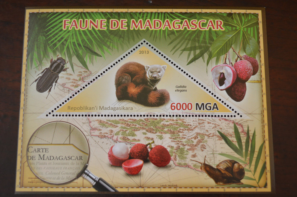 Мадагаскар. Фауна. Личности. Блок. 2014 р. (А-34) Полтава - фото 1