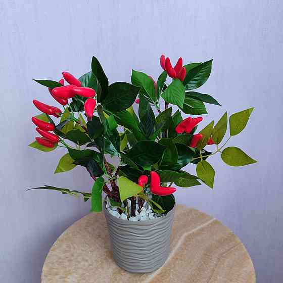 Композиція "Гострий перчик" Дніпро