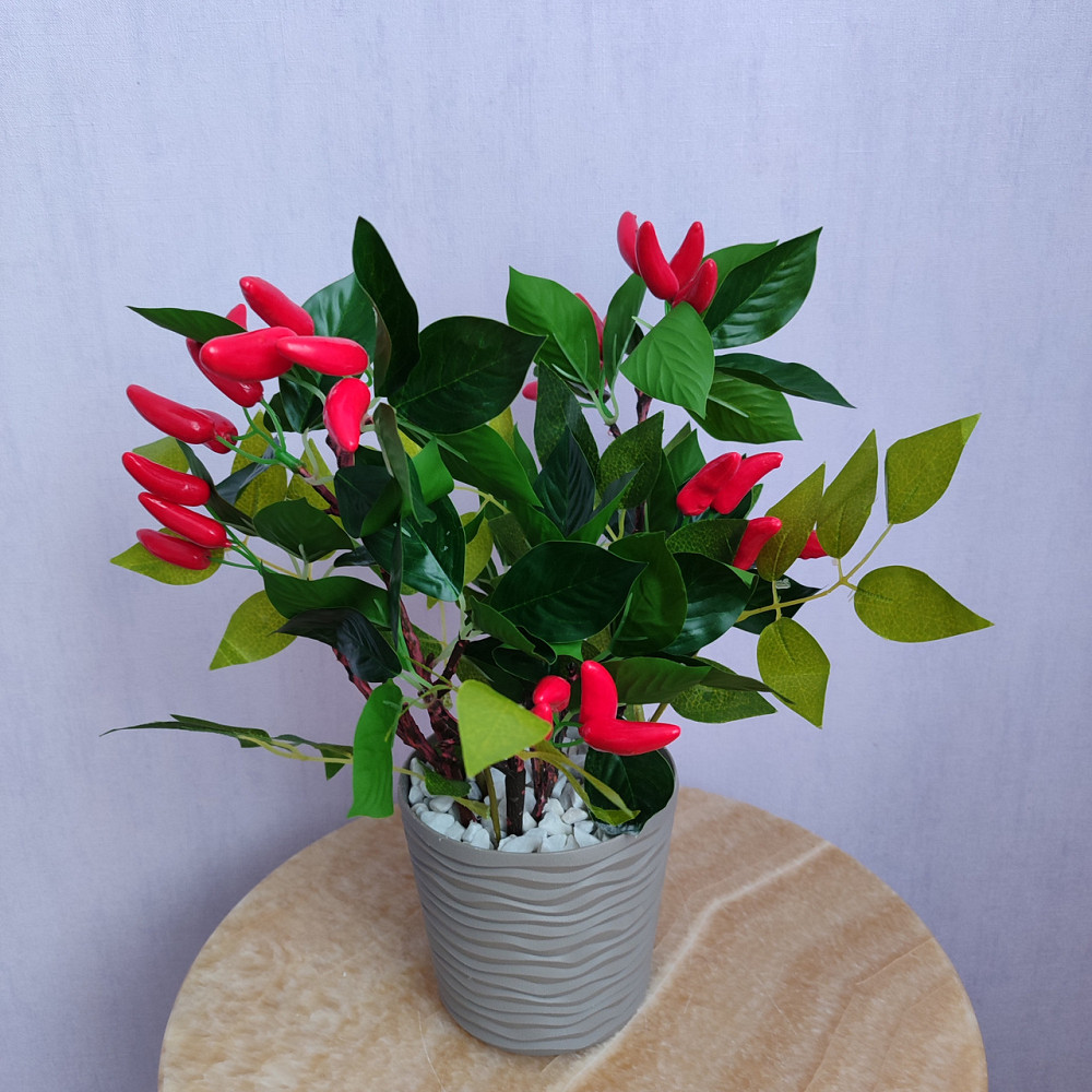 Композиція "Гострий перчик" Дніпро - фото 1