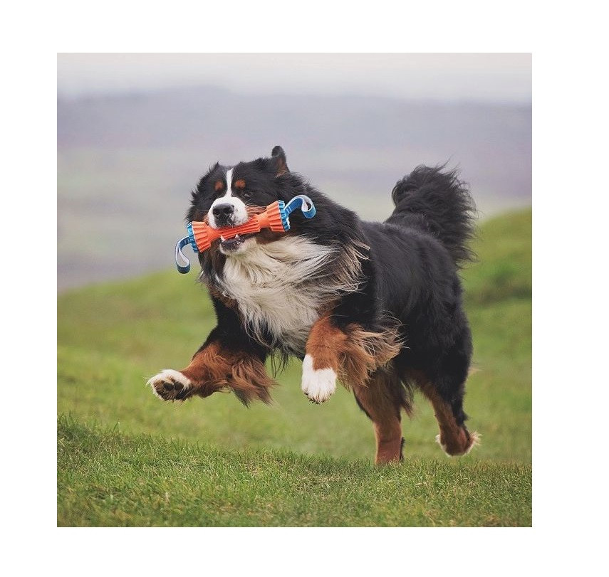 Апорт гофрированная гантель Chuckit! Rugged Bumper игрушка для собак, размер S Винница - изображение 6