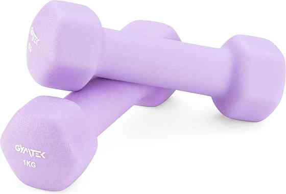 Гантелі для фітнесу неопренові Gymtek Hex 2х1кг лавандовий Київ