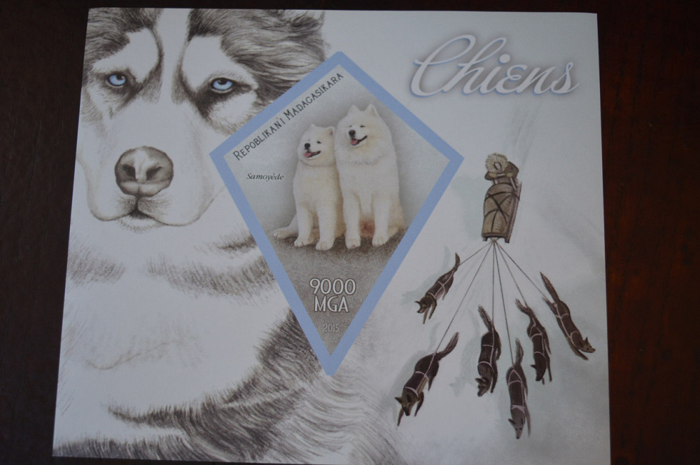 Мадагаскар. Фауна. Личности. Блок. (А-35) Полтава - фото 1