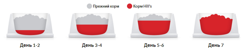 Hills Science Plan Canine Adult Small Mini Lamb Rice (Хілс СП для собак 1-6 років дрібних порід Ягня Рис) Запоріжжя - фото 5