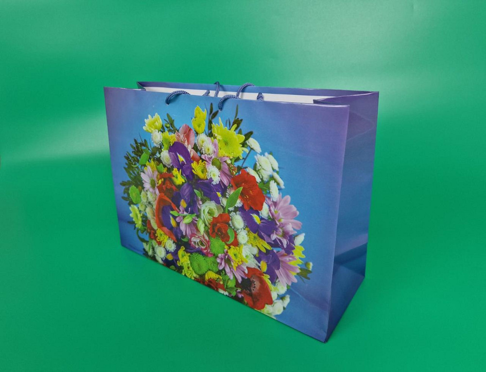 Паперовий великий горизонтальний пакет 36/22/10 (артBG-027) (12 шт.) Харків - фото 1