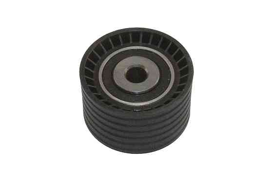 Ролик ГРМ паразитный 54/10mm Renault 1,4 16V 1,6 16V 1,8 16V 2,0 16V GP 7700107150G Киев