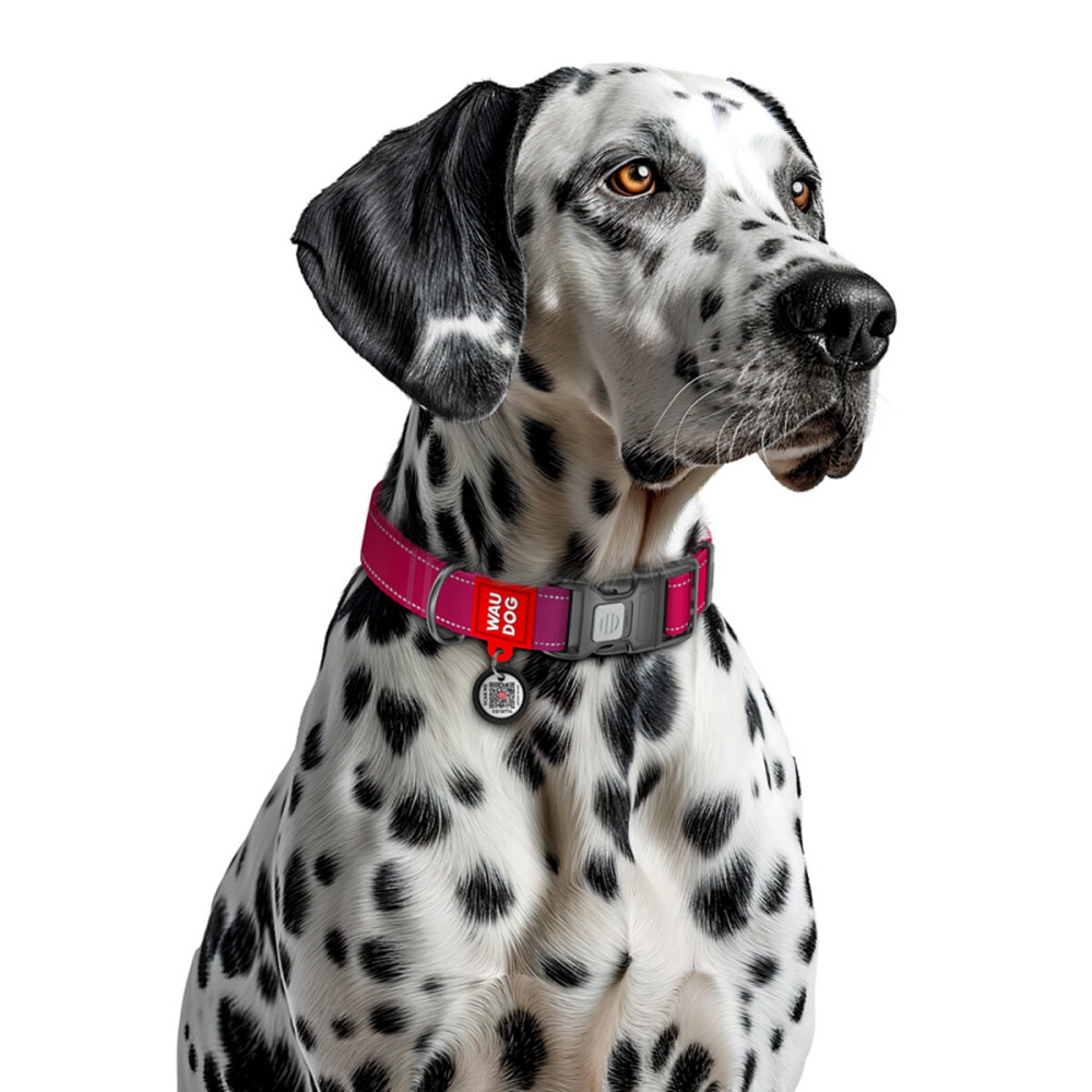 Coastal Fashion Waterproof Dog Collar КОСТАЛ биотановый ошейник для собак Киев - изображение 4