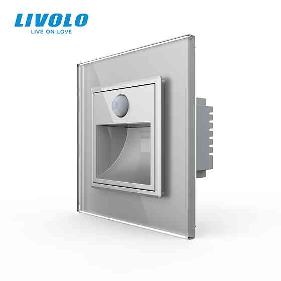 Cвітильник автоматичний для сходів підлоги датчик руху темряви, сірий, 2700K, 220В, 0.35Вт, огляд 120°, затримка 40с, дальність 4м LIVOLO (VL-C7FCL-2I Коломия