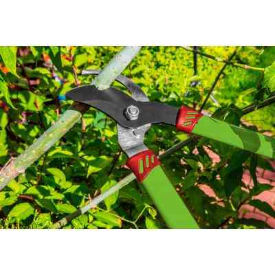 Секатор Verto 680 мм (15G252) Вінниця