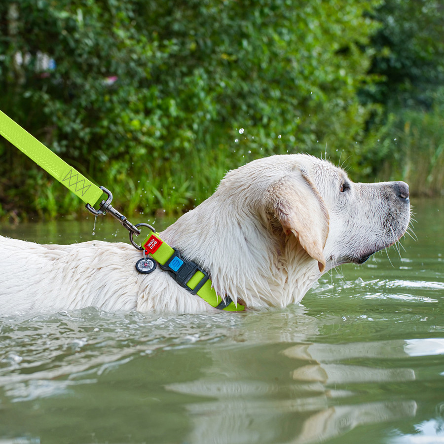 Ошейник для собак водостойкий WAUDOG Waterproof c QR паспортом, пластикова пряжка-фастекс, Ш 25 мм, Дов 38-58 см, салатовий Київ - фото 5