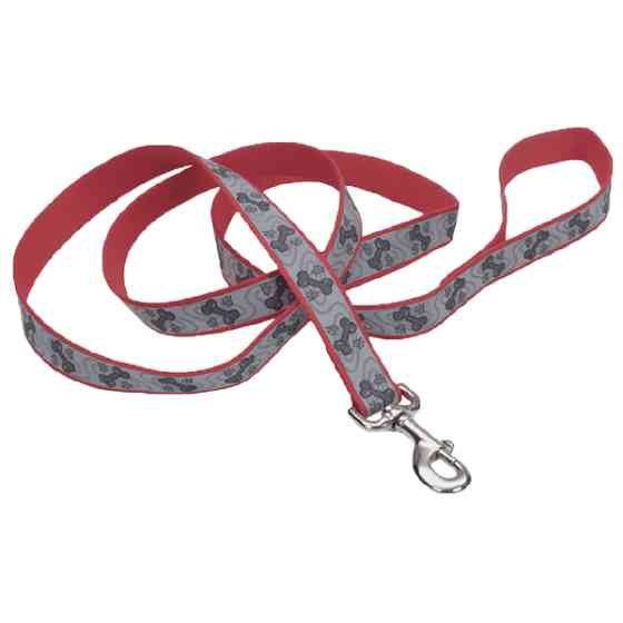 Coastal Lazer Brite Reflective Leash КОСТАЛ ЛАЗЕР БРАЙТ світловідбивний повідець для собак, 1.6смХ1.2м Київ