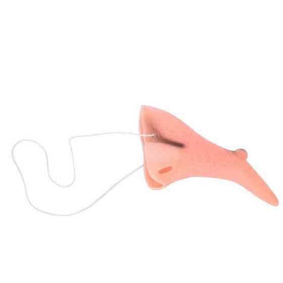 Ніс Відьми/Баби Яги/чаклунки/старої Київ