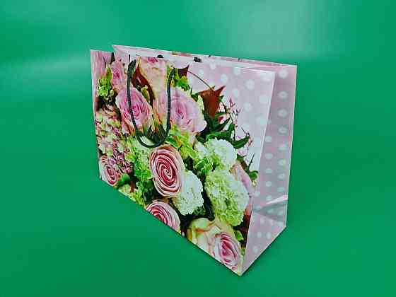 Паперовий великий горизонтальний пакет 36/22/10 (артBG-124) (12 шт.) Харків