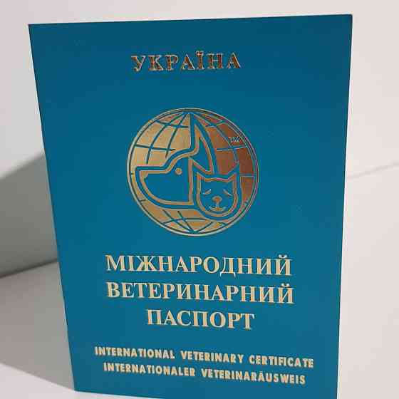 Міжнародний ветеринарний паспорт для собак і кішок Вінниця