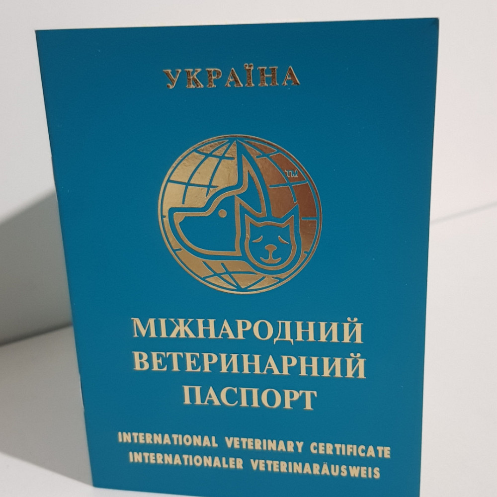 Міжнародний ветеринарний паспорт для собак і кішок Вінниця - фото 1