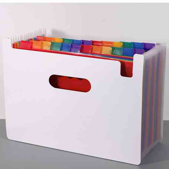 Папка-органайзер для хранения документов и файлов формат А4 на 12 отделений,,с цветными вкладками,черная 330x240x20 мм Каменец-Подольский