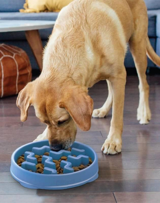 Миска лабиринт для медленного кормления собак Outward Hound Fun Feeder Tetris (Аутвард Хаунд Фан Фидер Тетрис) Запорожье - изображение 3