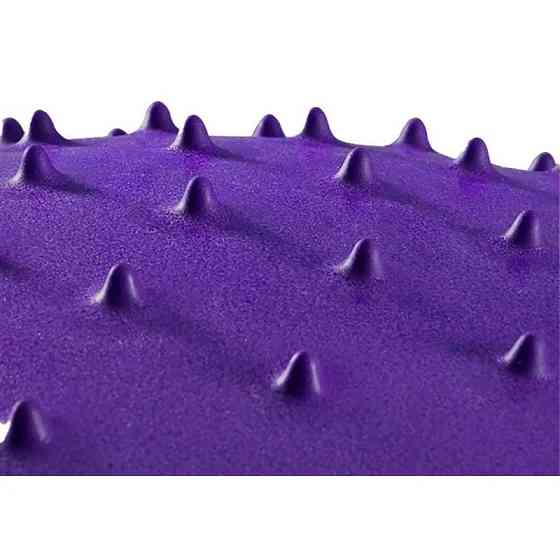 Масажний м'яч для фітнесу EasyFit EF-3015-V 65 см, фіолетовий Вінниця