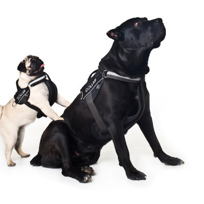 Шлей для собак Dog Extreme Police N2 40-60 см черная (07051) Винница - изображение 5