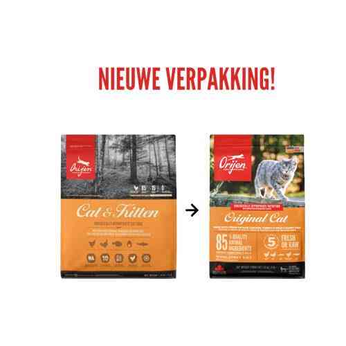 Orijen Original Cat (Ориджен Оригинал Кет) сухой корм для котят и кошек всех пород Запорожье