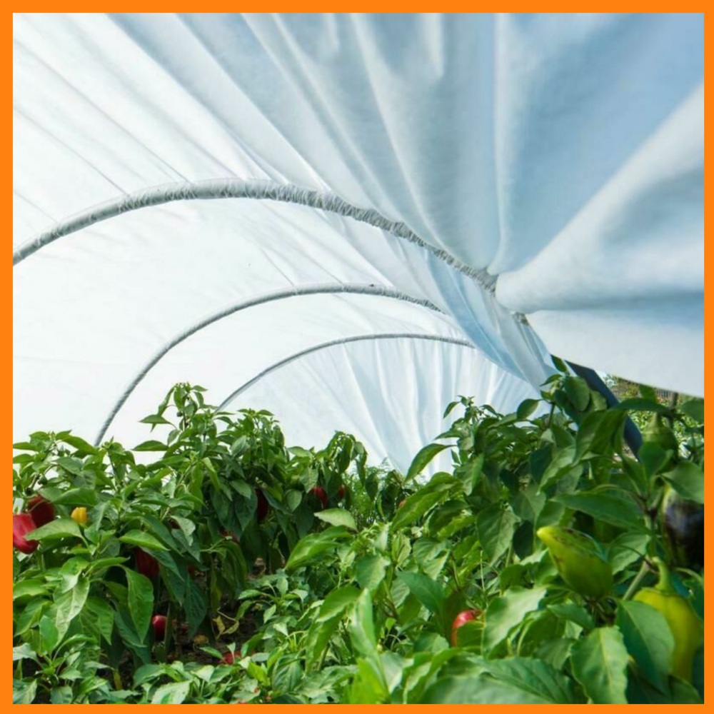Теплиця 5 м 50 щільність Агролідер, парник для городу, овочів Дніпро - фото 6