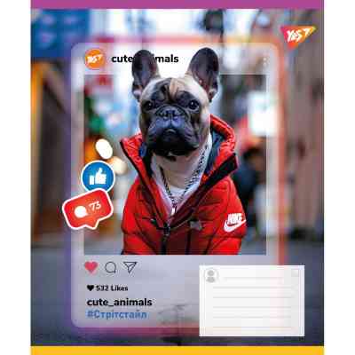 Зошит Yes Cute animals А5 48 аркушів лінія (767734) Вінниця