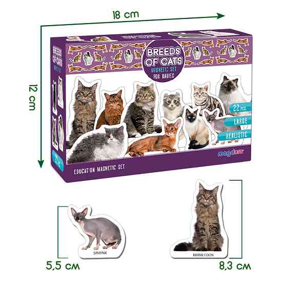 Набор магнитов Magdum 