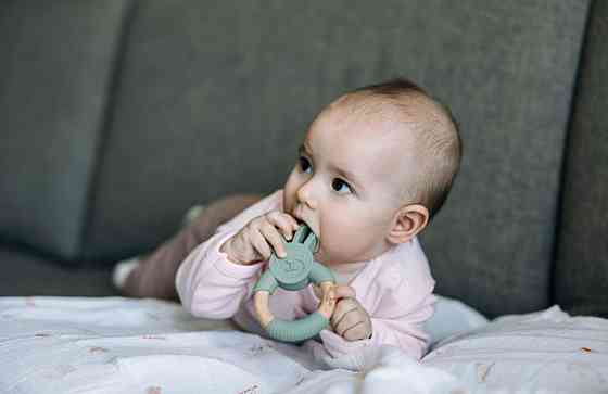 Прорезыватель FreeON силиконовый зайчик, зелёный Киев