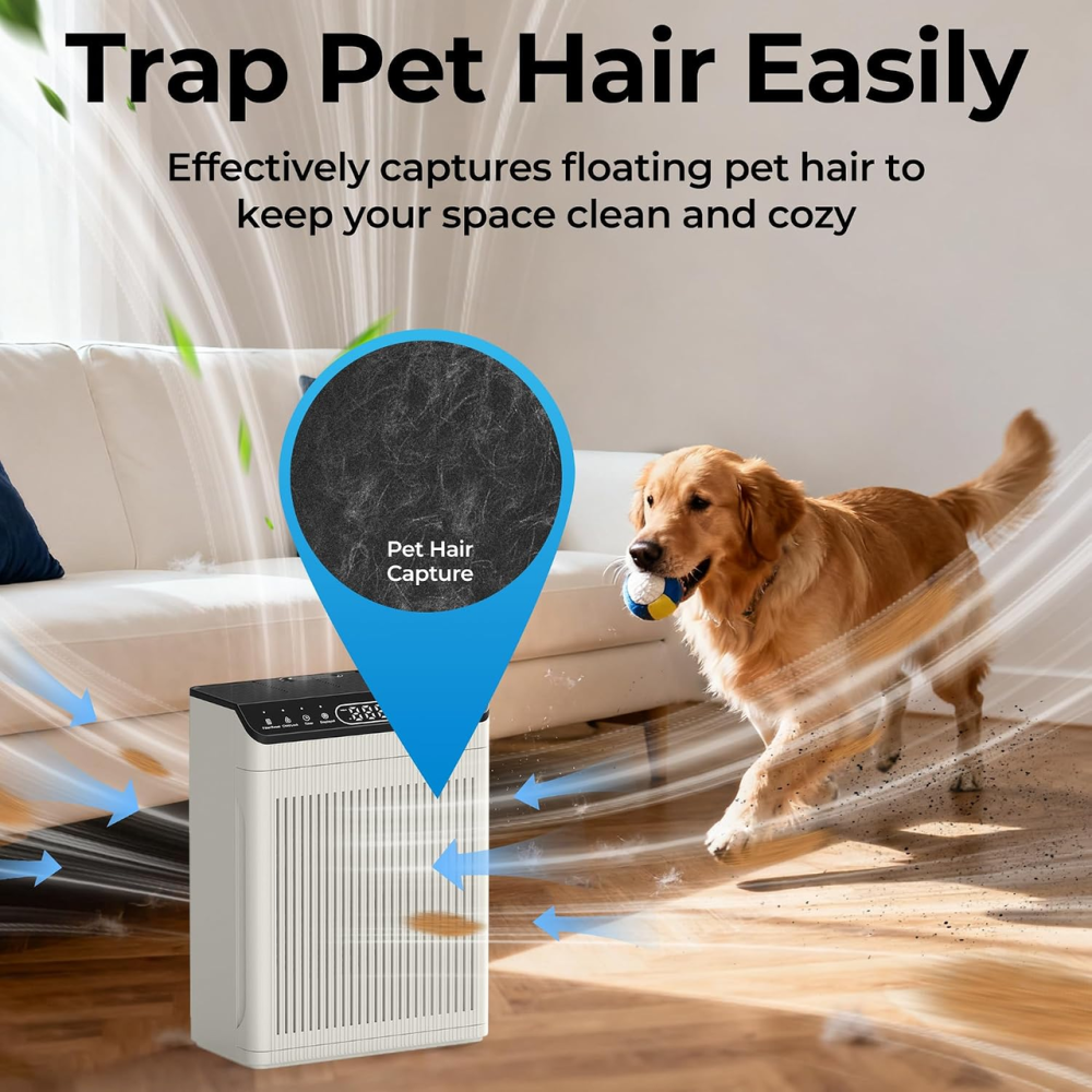 Очищувач повітря EVALIT ET066 до 204 м², HEPA, PM2.5, авто та Pet Mode, мийний фільтр, ароматерапія, 24 дБ Київ - фото 10