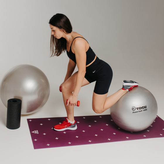 М’яч гімнастичний TOGU Powerball ABS - 55 см (срібний) Дніпро
